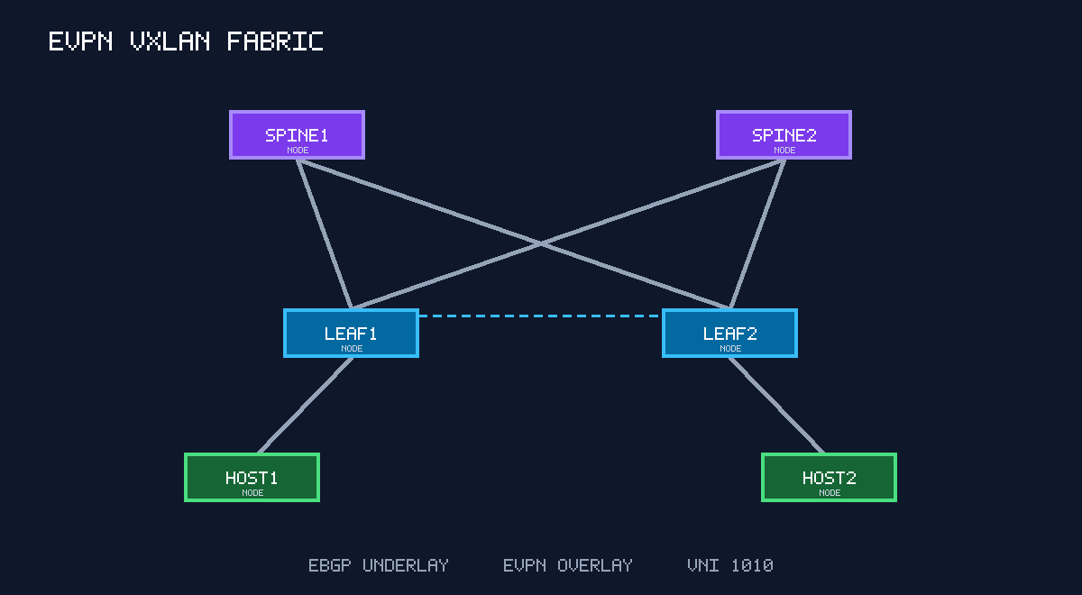 EVPN VXLAN fabric with two spines, two leaves, and two hosts